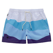 Load image into Gallery viewer, Swim Shorts - Ice Wave