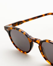 Load image into Gallery viewer, Forest Havana - Grey Solid Lens