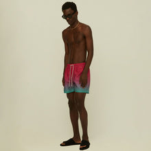 Load image into Gallery viewer, Swim Shorts - Purple Grade