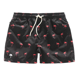 Swim Shorts - Black Flamingo