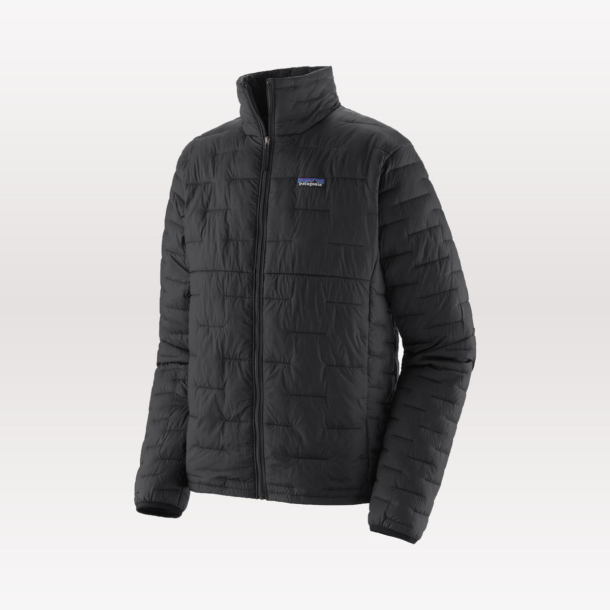 Patagonia Micro Puff Jacket - Black