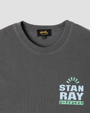 Load image into Gallery viewer, Reg Tee - Washed Black
